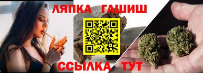 шишки Шелехов